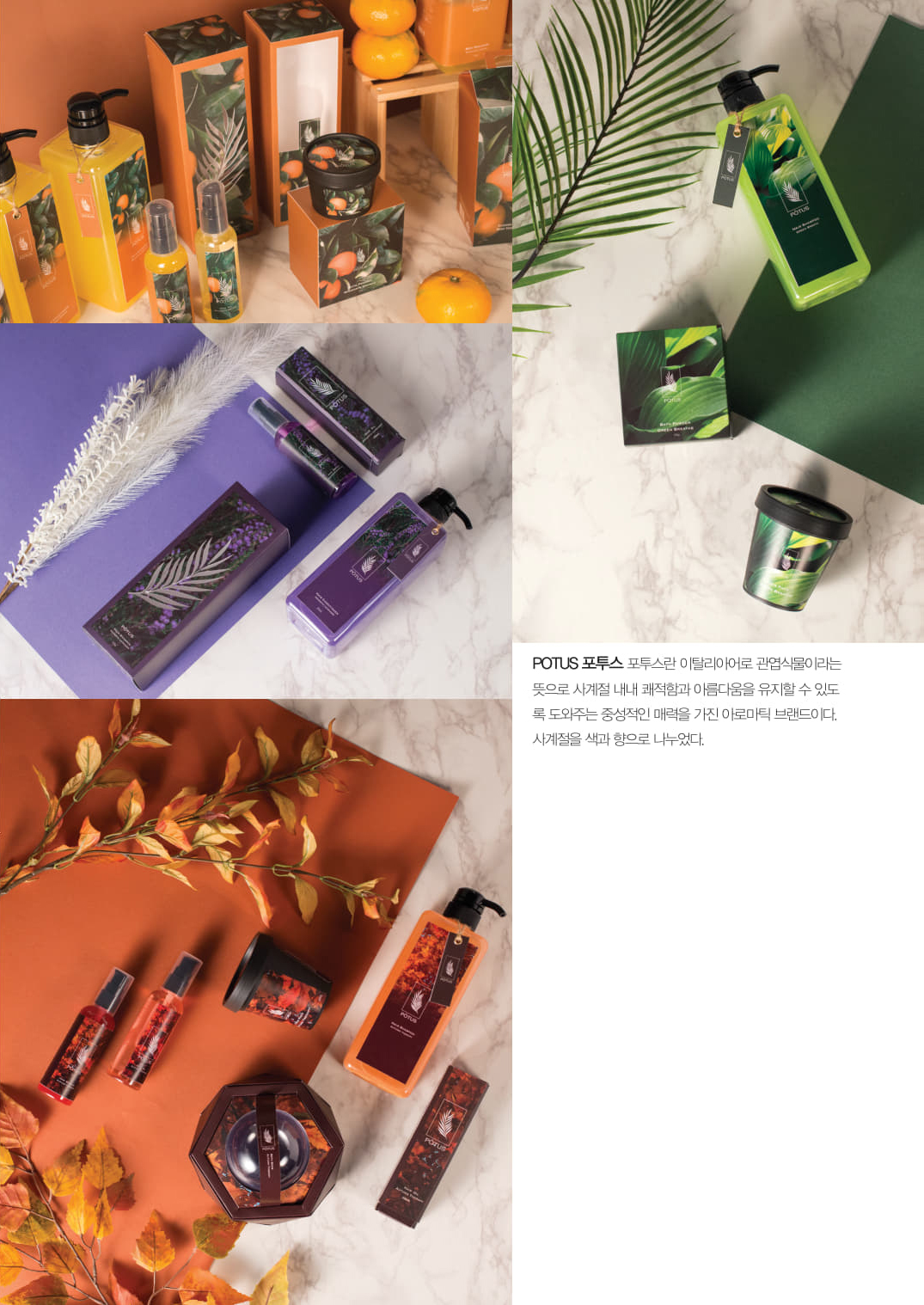 포투스2