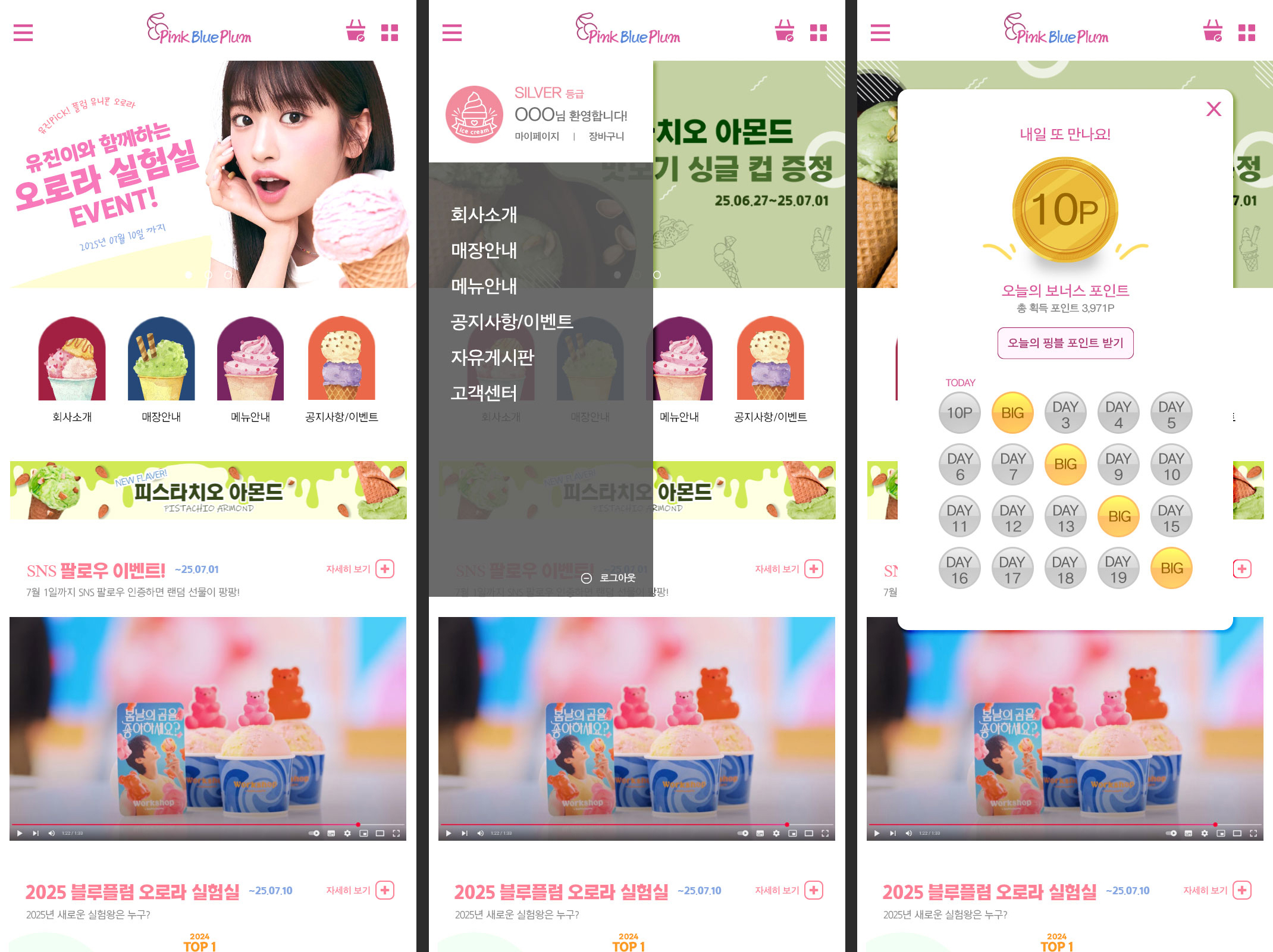 핑크블루플럼3